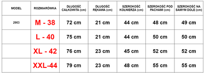 Vīriešu pelēks kokvilnas t-krekls ar apdruku - Apģērbs