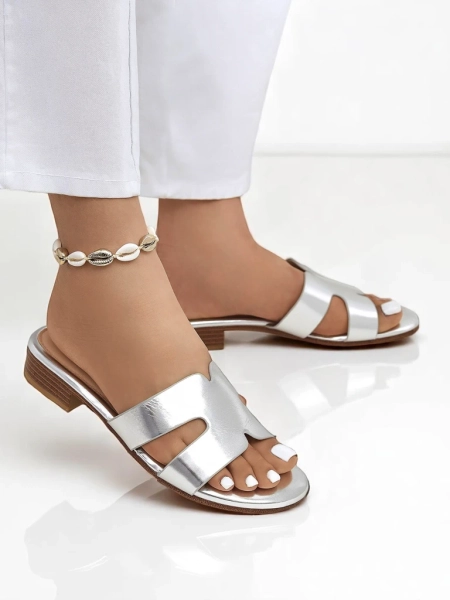 Royalfashion Women's Flat Flip-Flops SilverEase