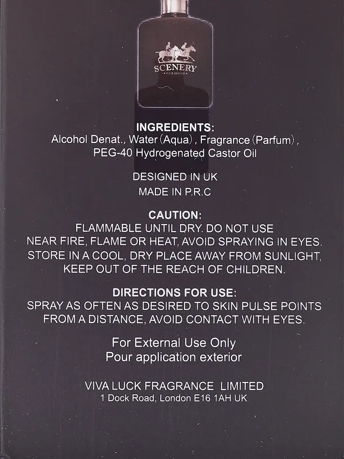 VV Love Scenery Для мужчин Мужская туалетная вода 100 мл