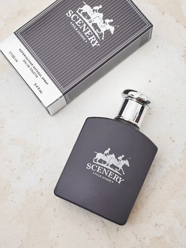 VV Mīlestības ainava Vīriešiem Vīriešu tualetes ūdens 100ml